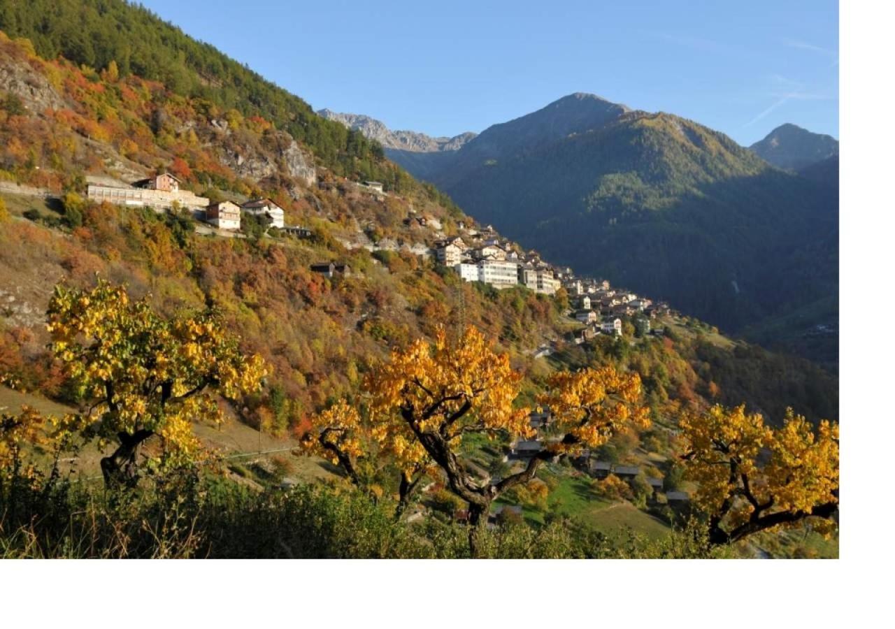 Valettes Le Cocon Du Catogne Proche Martigny Verbier - Netflix - מראה חיצוני תמונה