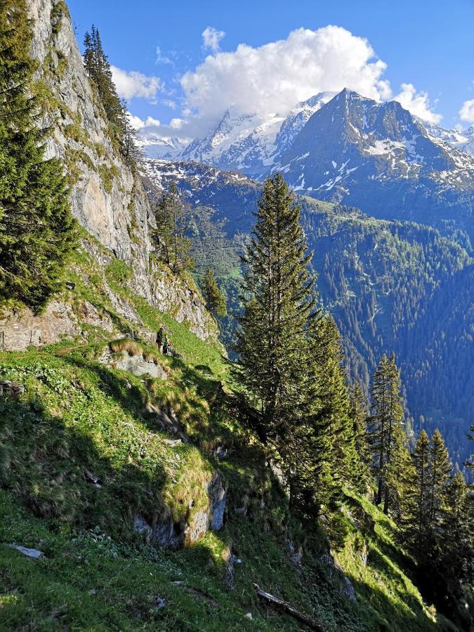 Valettes Le Cocon Du Catogne Proche Martigny Verbier - Netflix - מראה חיצוני תמונה