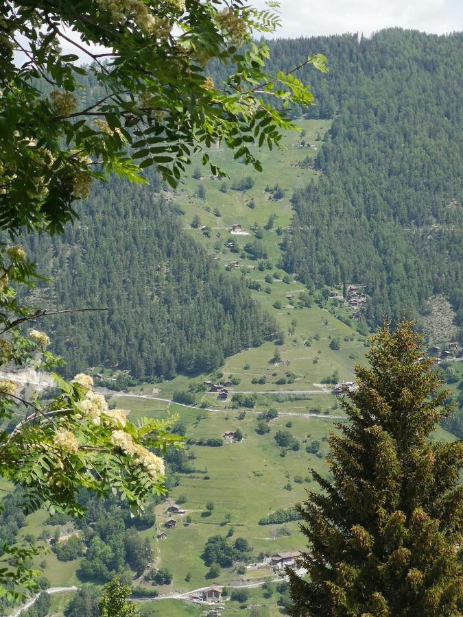 Valettes Le Cocon Du Catogne Proche Martigny Verbier - Netflix - מראה חיצוני תמונה